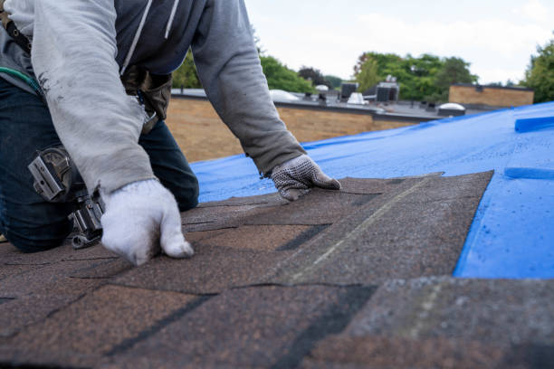 Quick and Trustworthy Emergency Roof Repair Services in Fruitport, MI