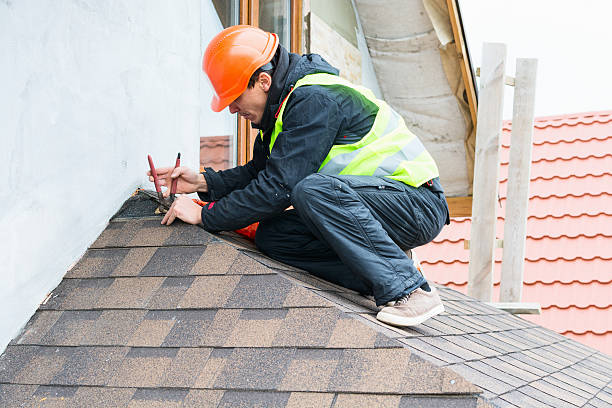 Best Local Roofing Companies  in Fruitport, MI