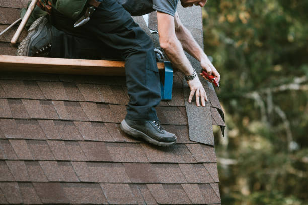 Best New Roof Installation  in Fruitport, MI