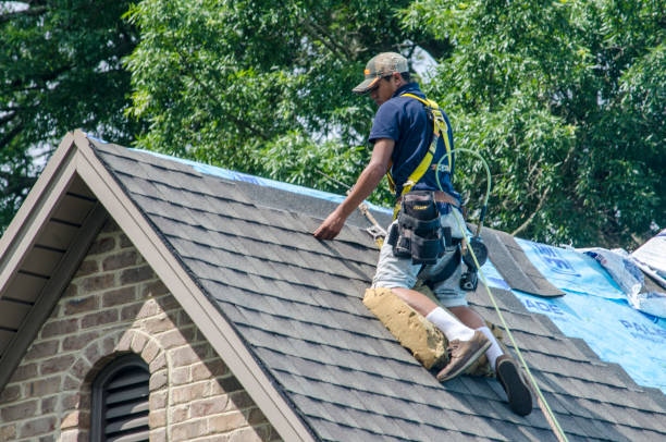 Trusted Fruitport, MI Roofing Contractor Experts